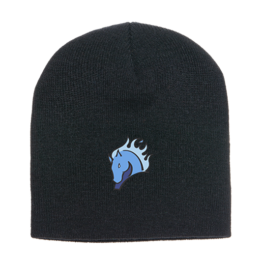 TICE 1500 Yupoong Knit Cap