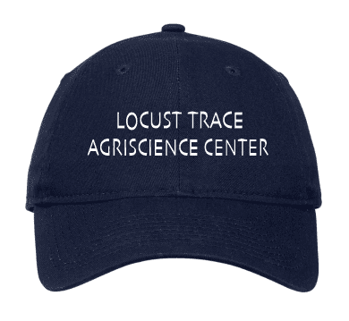 LTAS-NE201 New Era Cap